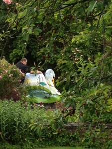 Last seen heading out the garden...