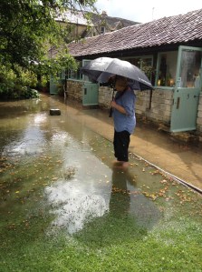 Serena capturing the action