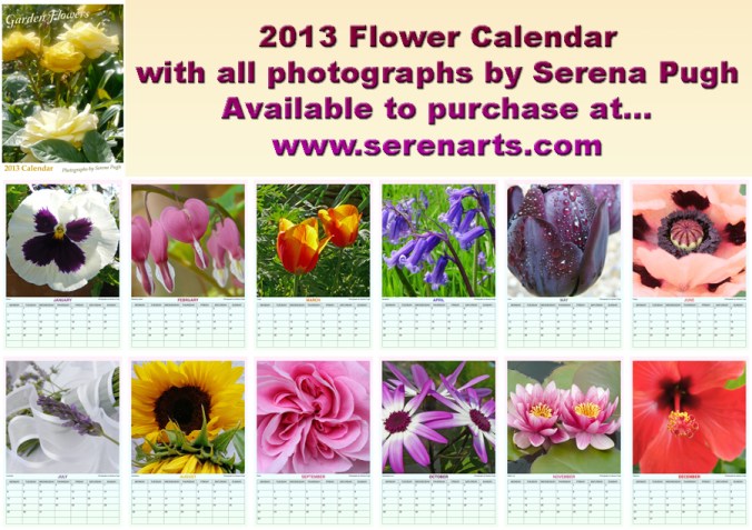 2013 Flower Calendar by Serena Pugh