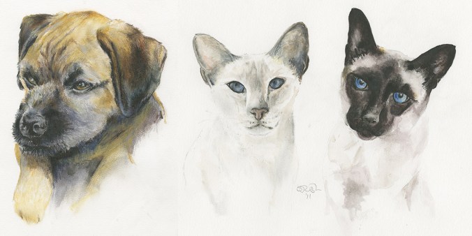 SerenArts Gallery Pet Portraits