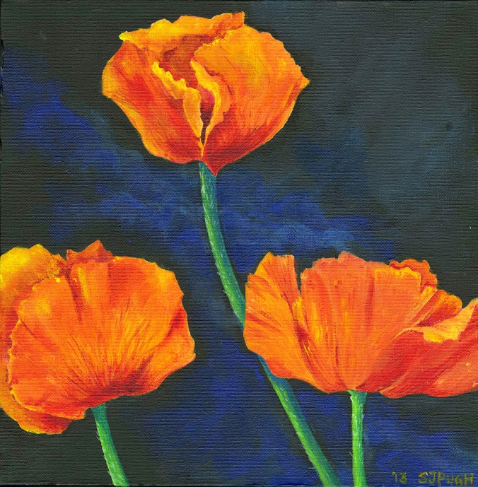 Poppies by Serena Pugh