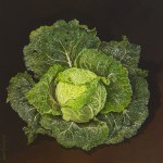 Savoy Cabbage by Jane Robinson