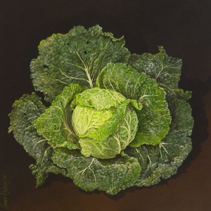 Savoy Cabbage by Jane Robinson