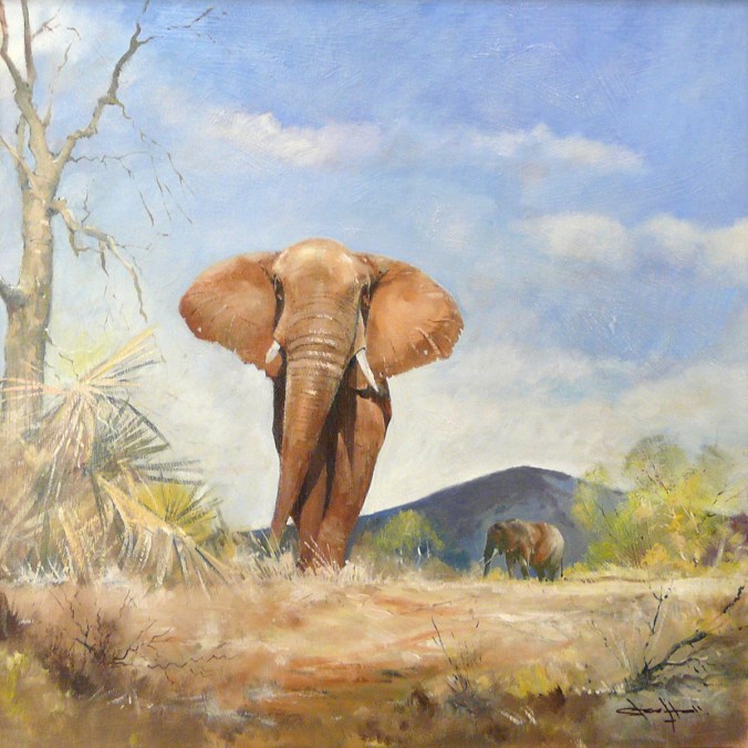 steve hall elephant oil painting