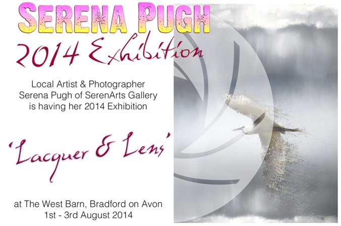 serena pugh 2014 exhibition - lacquer and lens 1