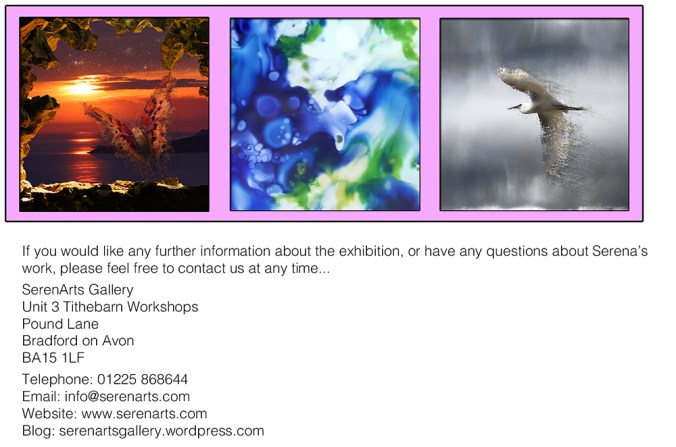 serena pugh 2014 exhibition - lacquer and lens 2