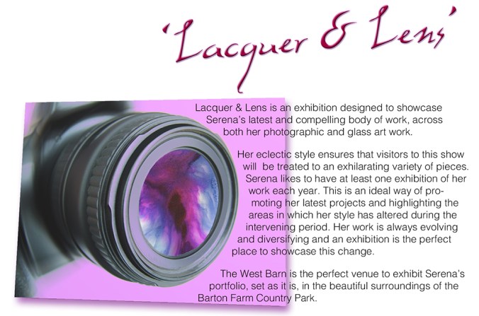 serena pugh 2014 exhibition - lacquer and lens 3