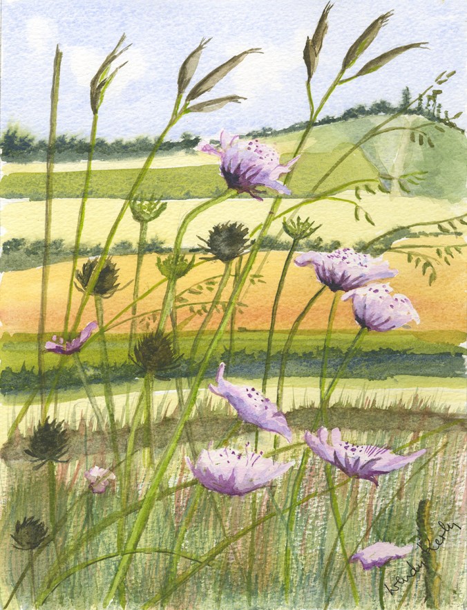 wendy kerly cards for dorothy house