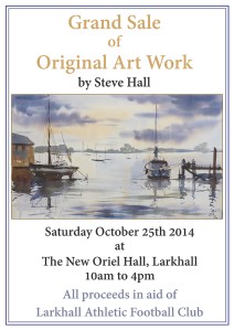 steve hall larkhall athletic fc charity sale