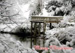 serenarts gallery christmas card