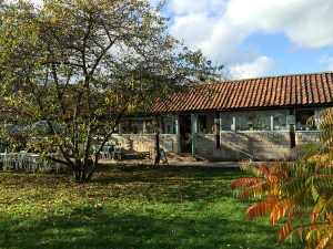 serenarts gallery november 1st 2015