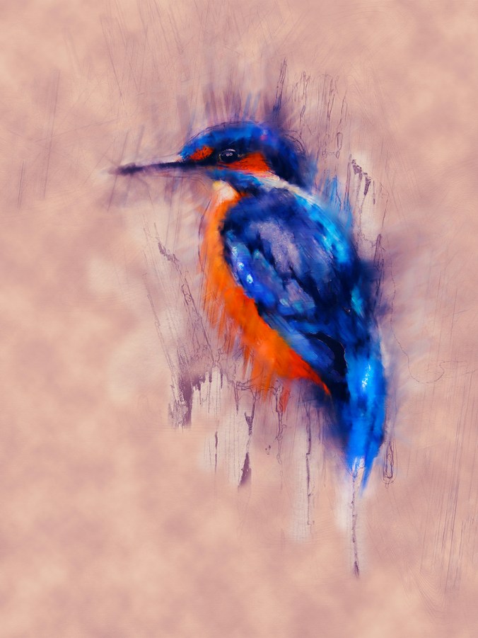 watchful kingfisher by serena pugh