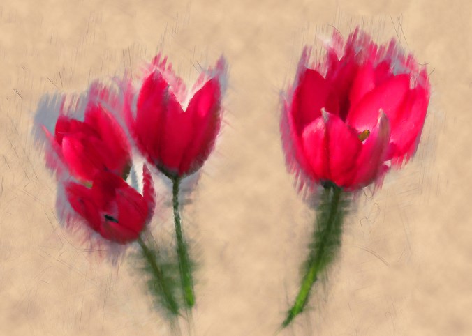 serena pugh photographic art