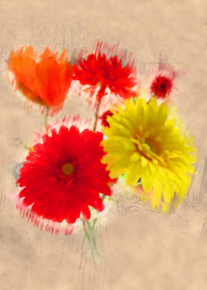 serena pugh photographic art