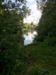 rowing on the river avon