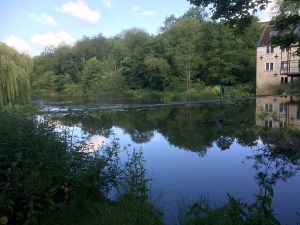 the weir at avoncliff
