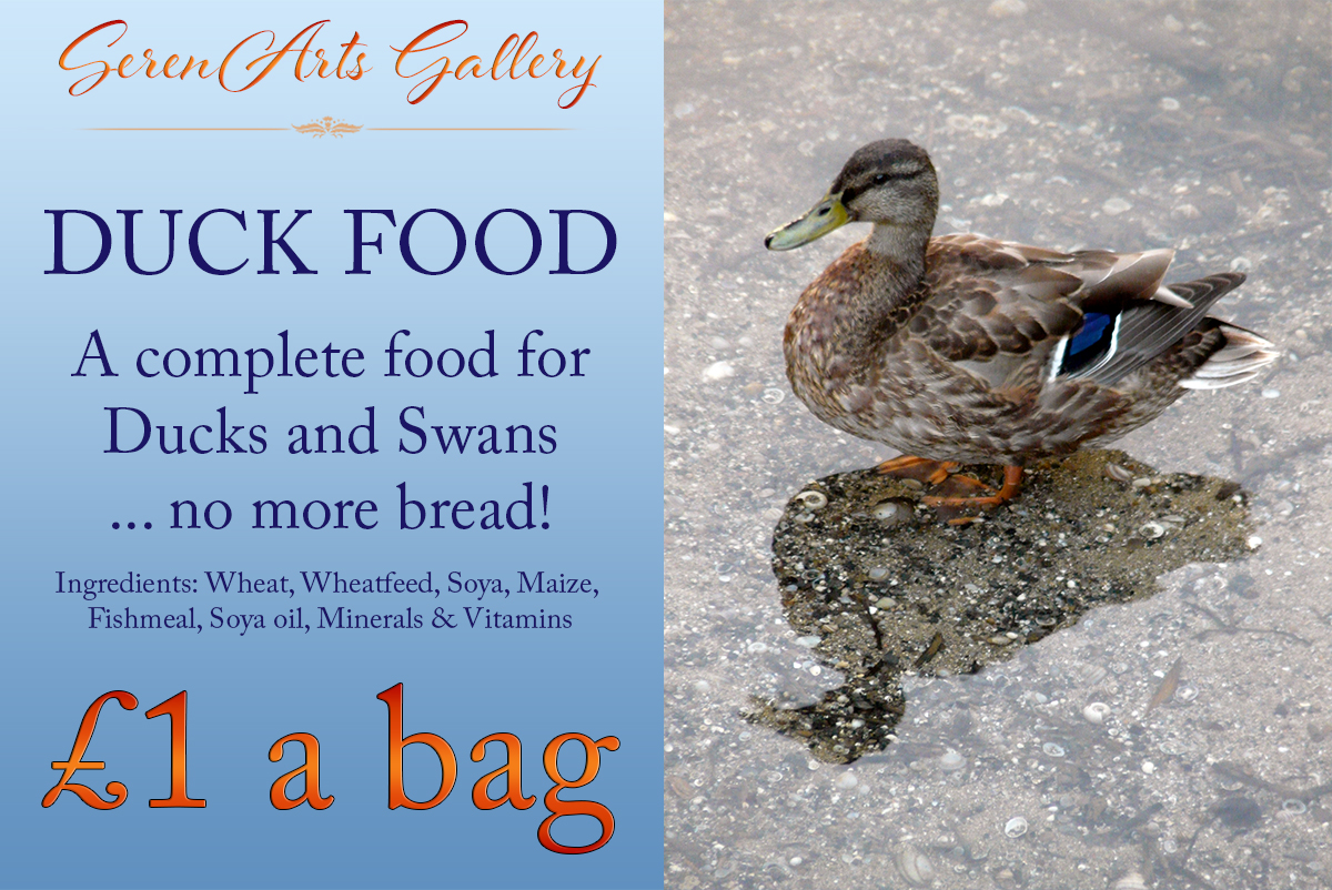 healthy-duck-food-from-serenarts-gallery
