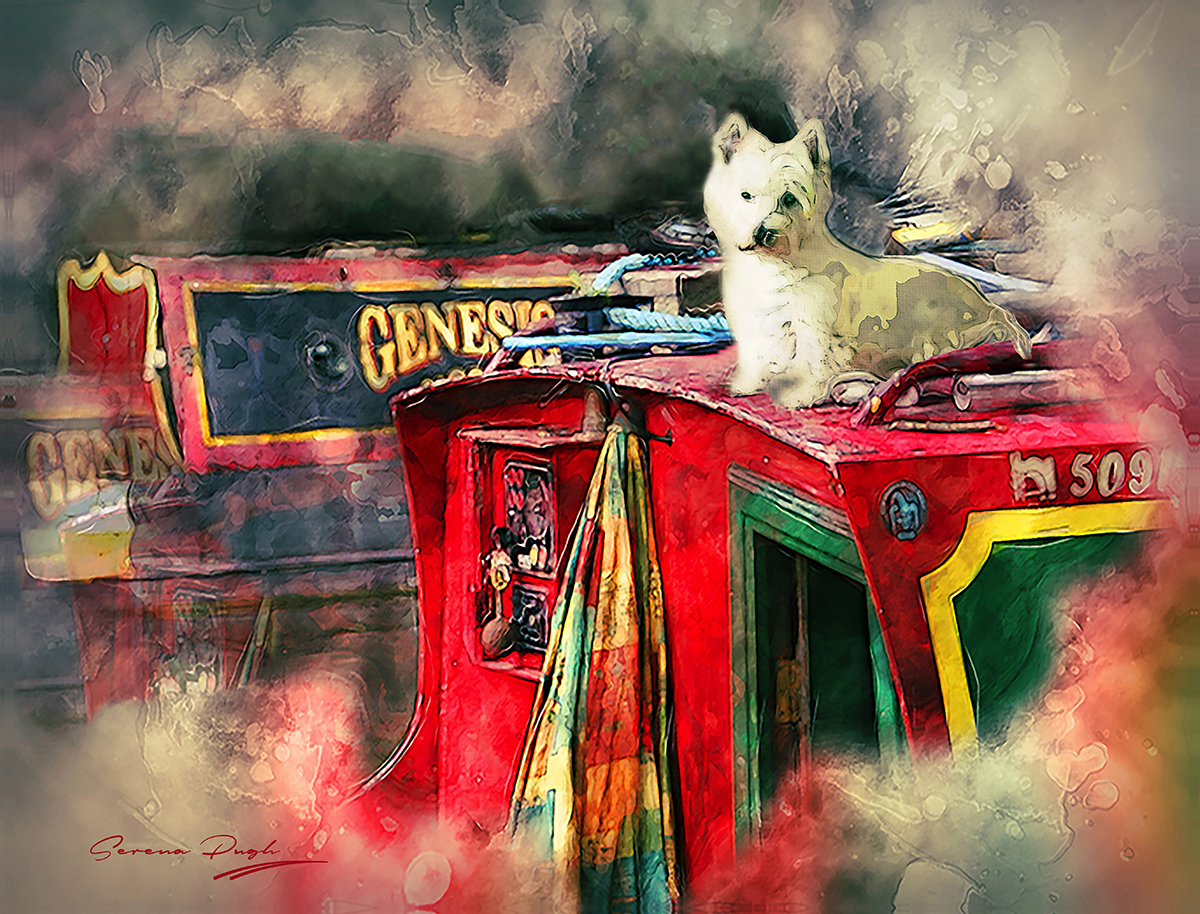 serenarts-gallery-photographic-art-commissions