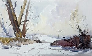 serenarts-gallery-xmas-card-printing-steve-hall