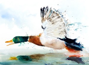 serenarts design and printing karen thomas