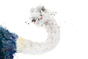 serenarts design and printing karen thomas