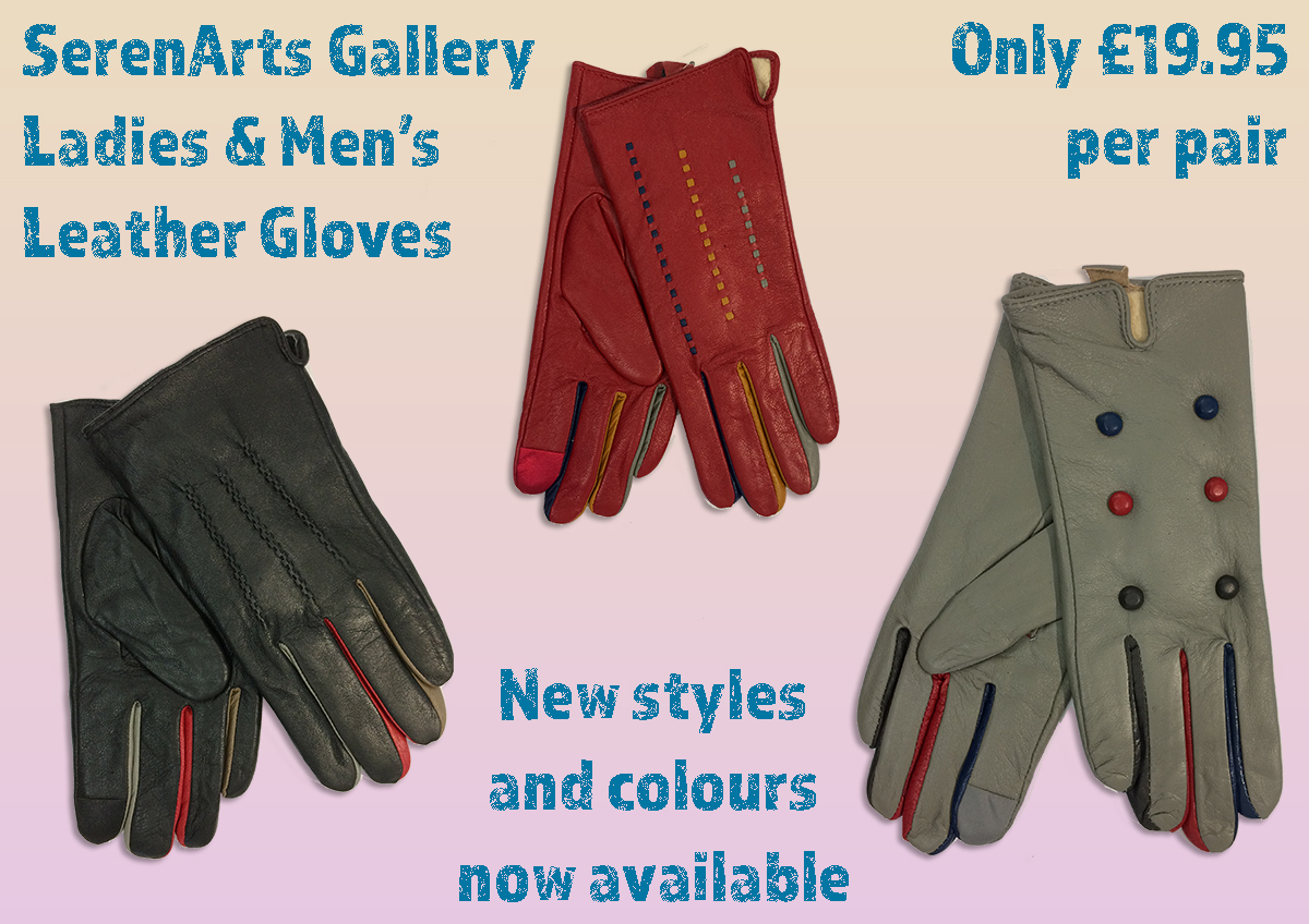 serenarts gallery new leather gloves
