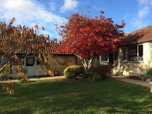 serenarts gallery autumnal colours