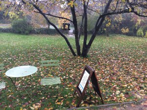 serenarts gallery autumnal rain