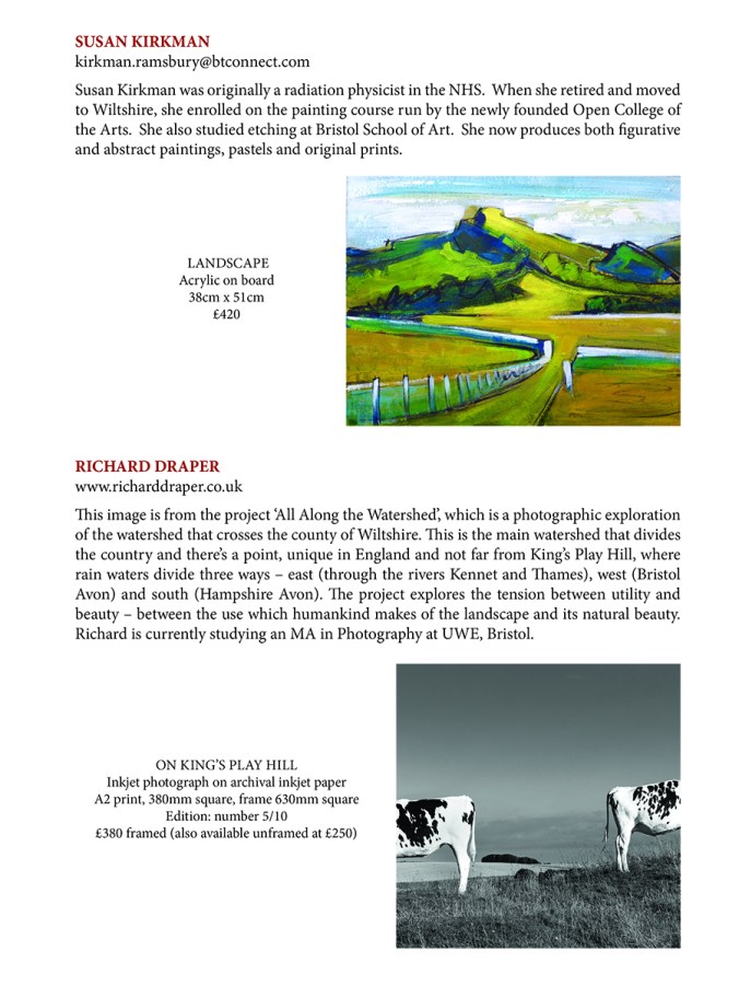 serenarts gallery brewin dolphin expo brochure