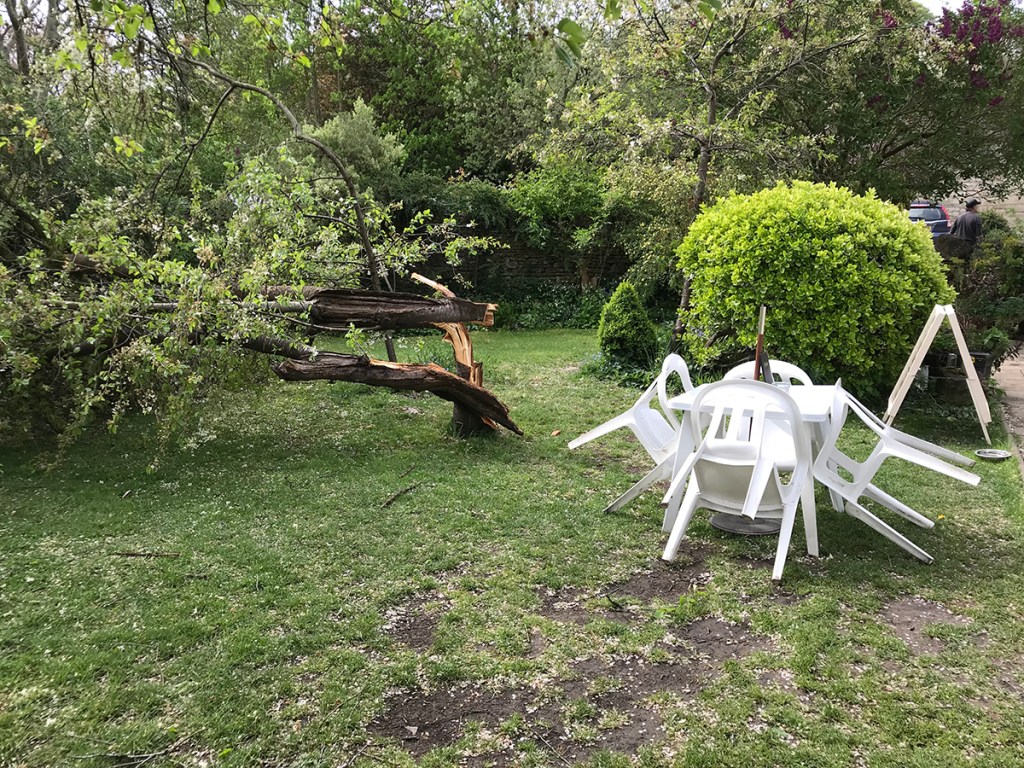 serenarts gallery storm hannah damage