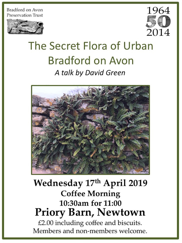 serenarts printing bradford on avon