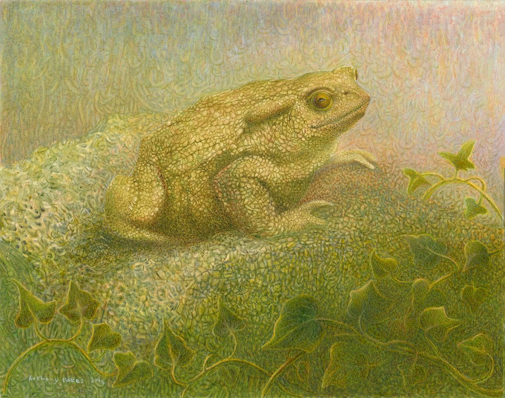 anthony pates artist