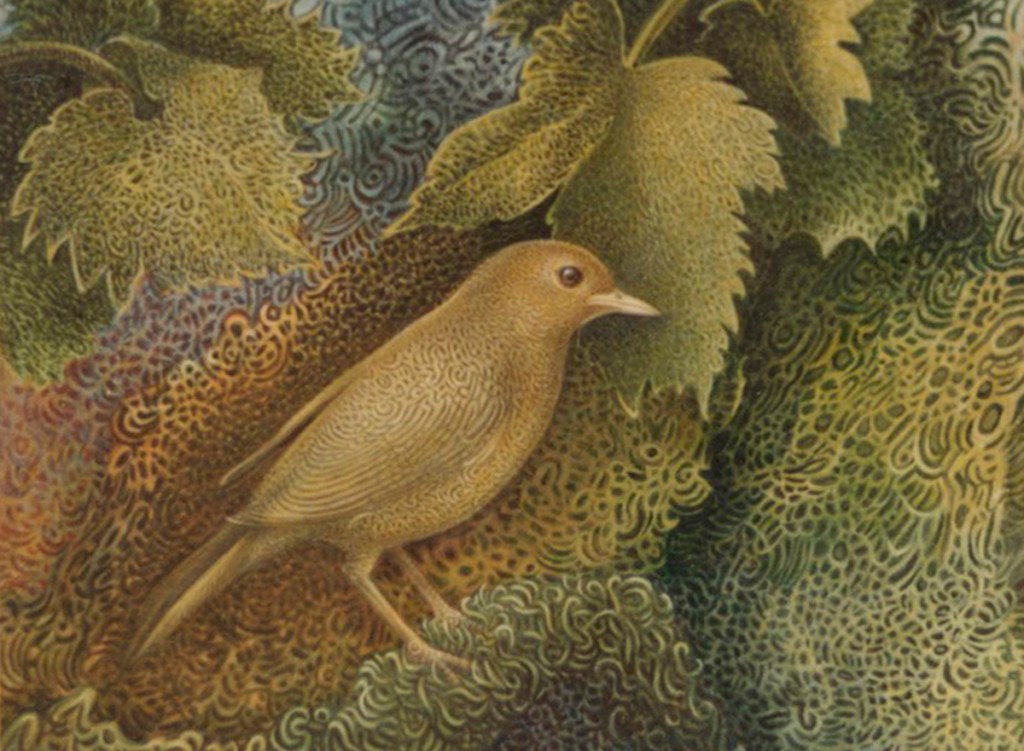 anthony pates artist