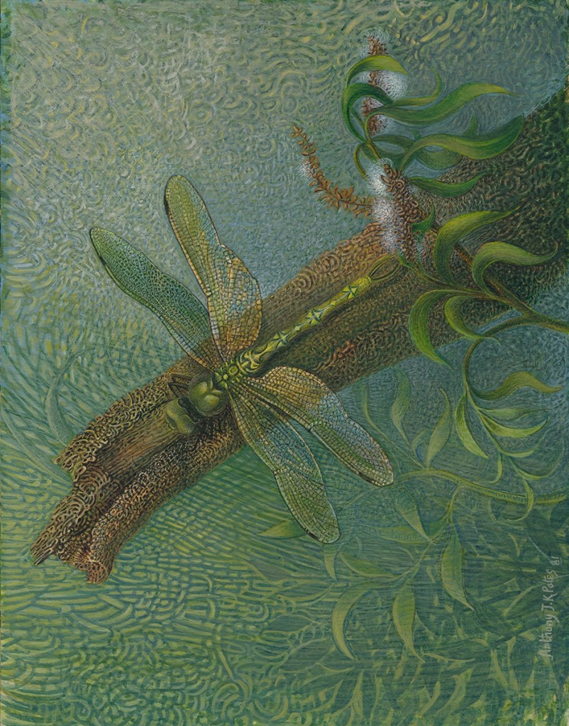 anthony pates artist