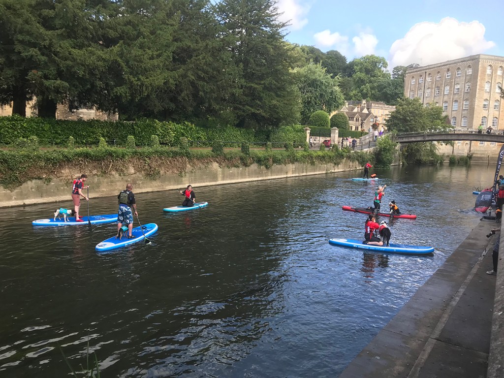 doggy paddle on the river avon, bradford on avon