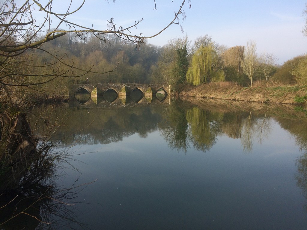 serenarts gallery bradford on avon