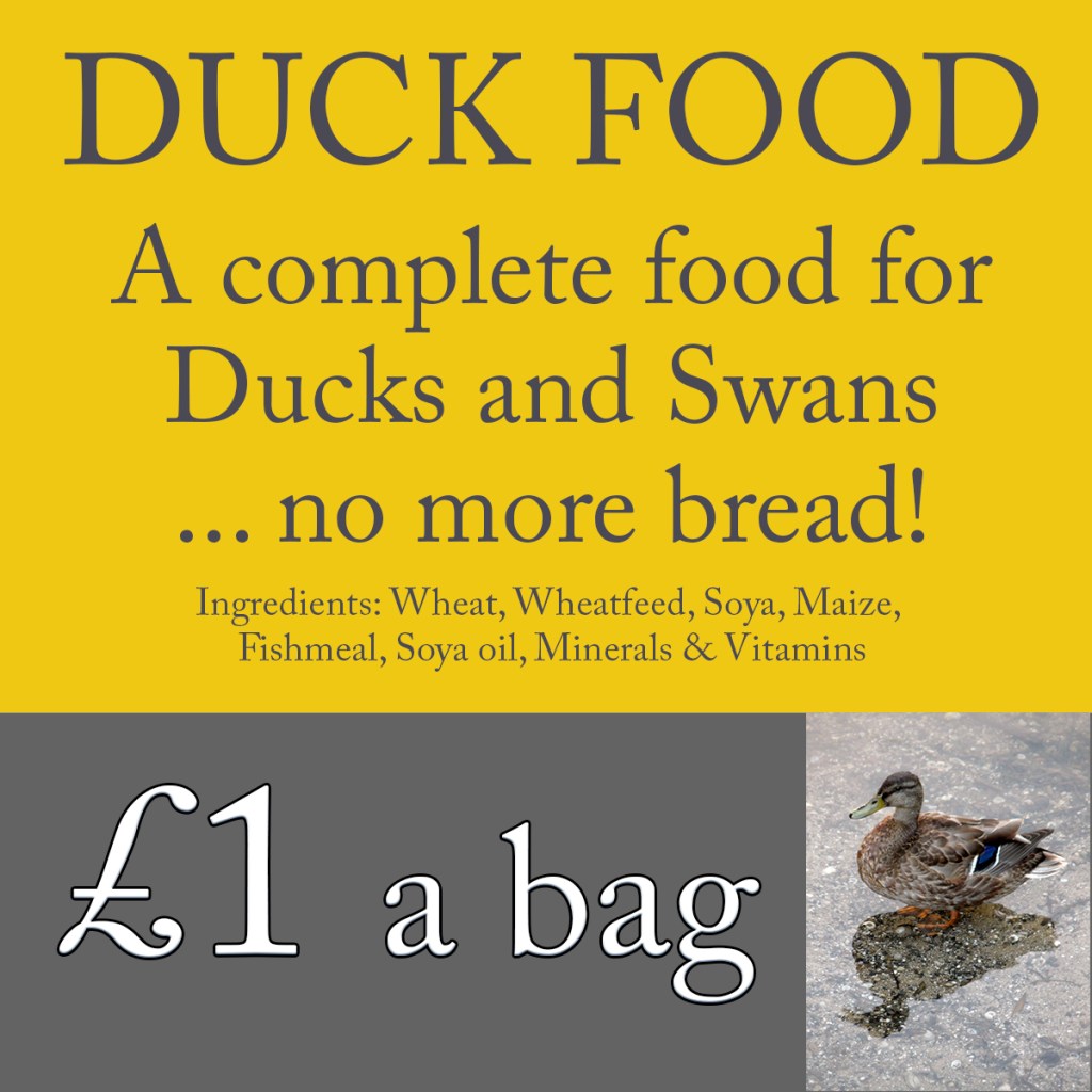 serenarts gallery swan and duck food