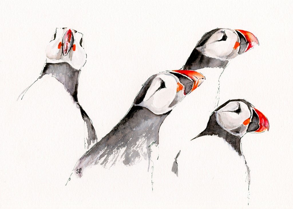 serenarts gallery - serena pugh artwork