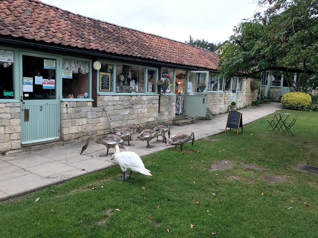 serenarts gallery morning visitors
