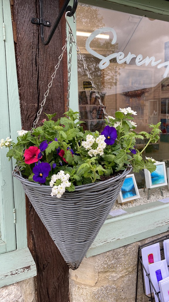 serenarts gallery diamond jubilee hanging basket
