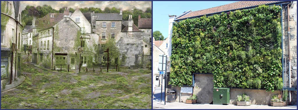 serenarts gallery living wall serene view of bradford on avon