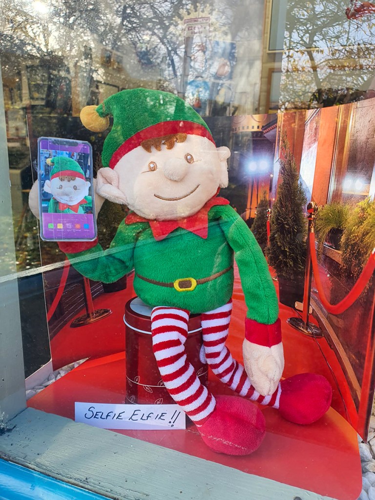 serenarts gallery elf trail - selfie elf