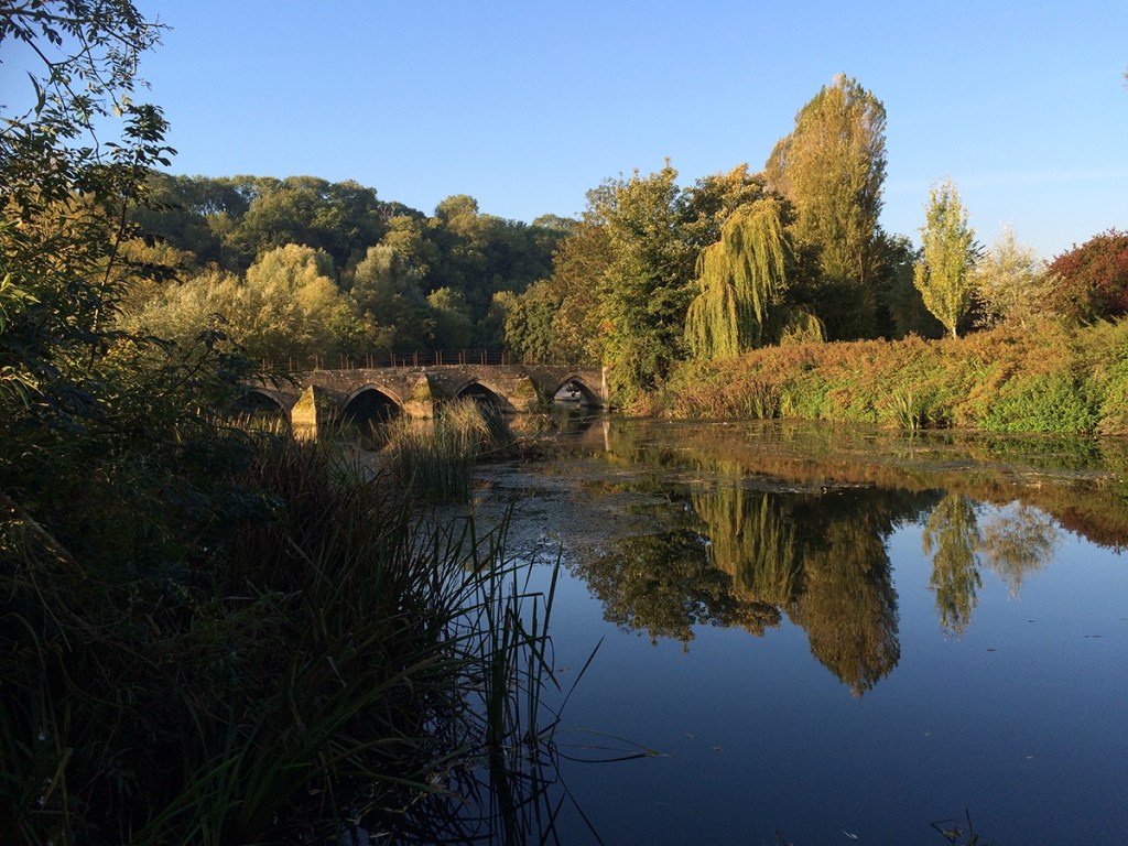 tithebarn workshops christmas lights on the river walk