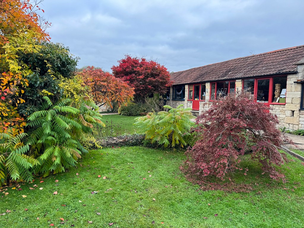 autumn colours serenarts gallery