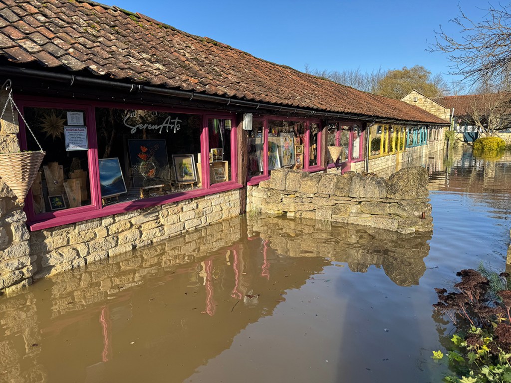 serenarts gallery floods november 2024