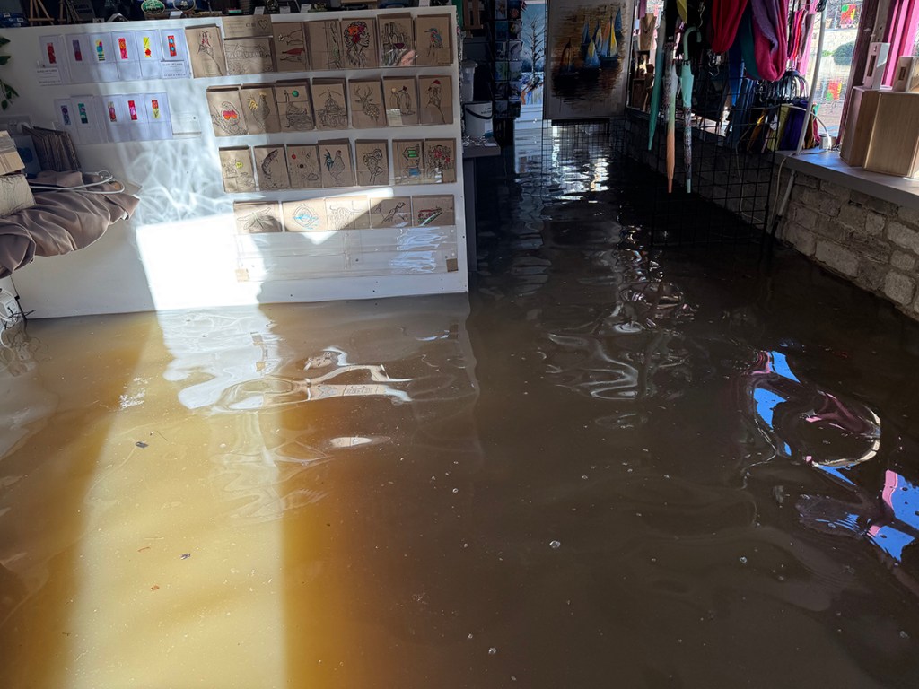 serenarts gallery in 2024