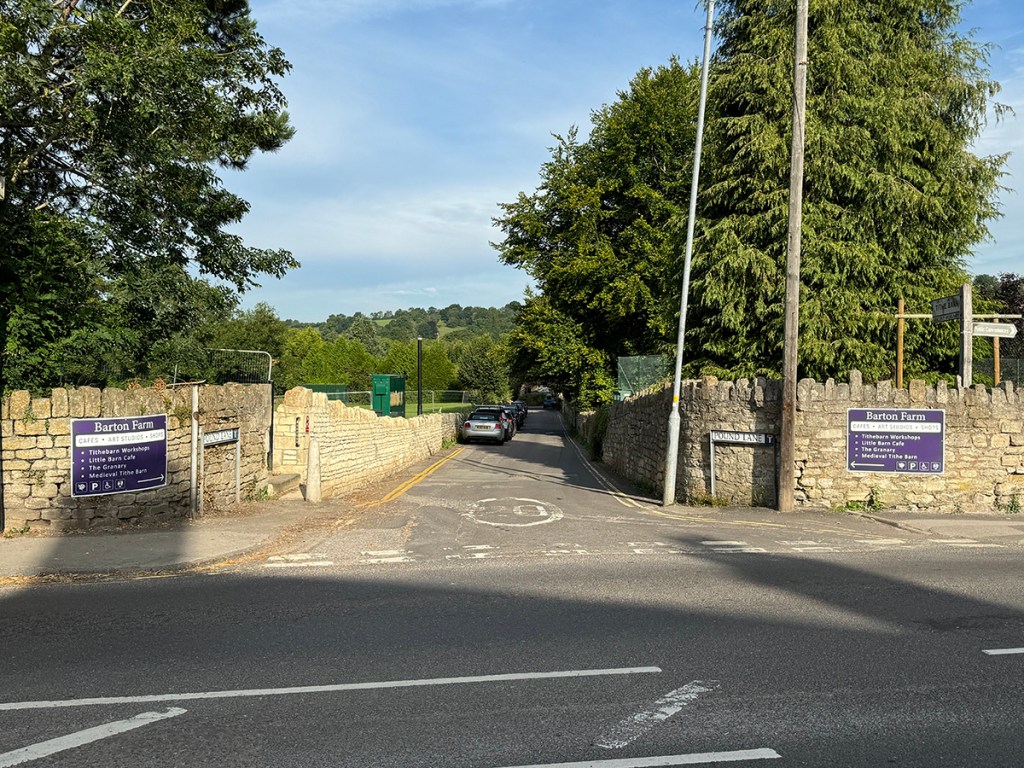 serenarts gallery in 2024