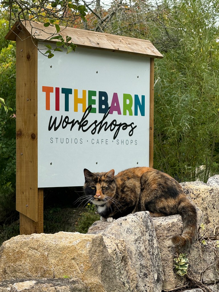 serenarts gallery in 2024