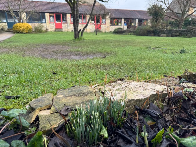 tithebarn workshops snowdrops