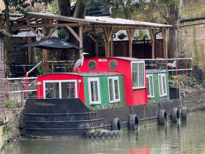 serenarts gallery bradford on avon